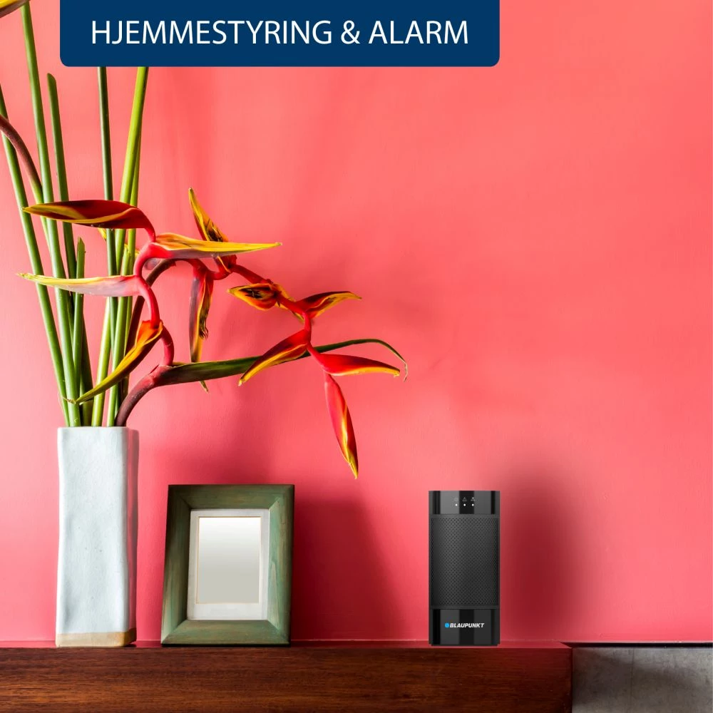 Blaupunkt Bevægelsessensor (Dyreimmun) 3 Blaupunkt Bevægelsessensor (Dyreimmun) - Billede 3