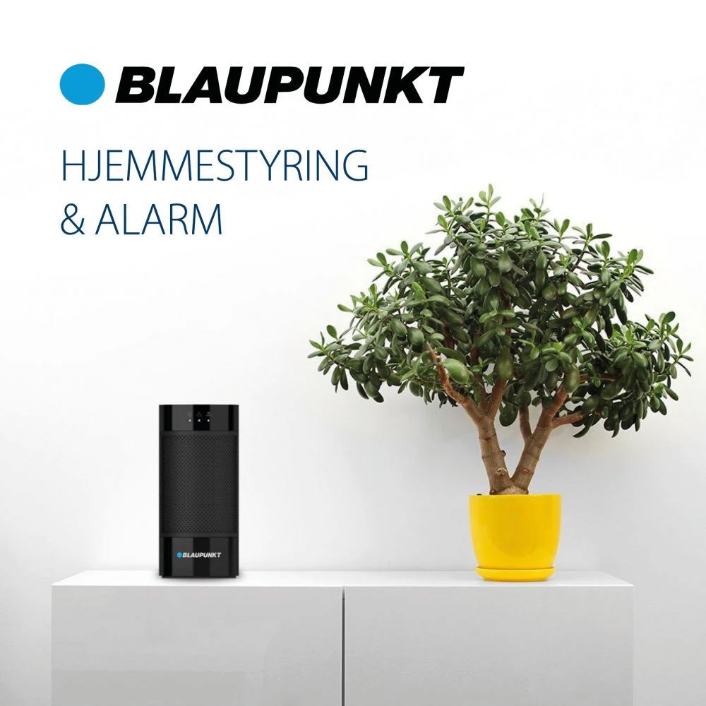 Blaupunkt Indbygning Relæ 2 Blaupunkt Indbygning Relæ - Billede 2